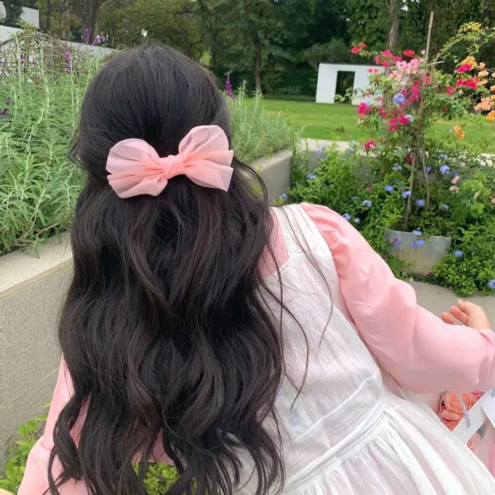 熊熊勇闯异世界